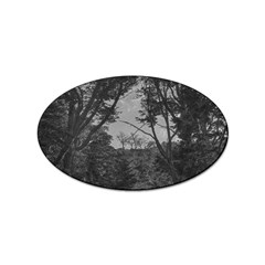 Patagonia Forest, Nahuel Huapi National Park, Rio Negro, Argentina Sticker Oval (10 Pack)