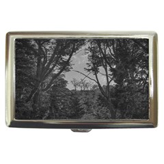 Patagonia Forest, Nahuel Huapi National Park, Rio Negro, Argentina Cigarette Money Case