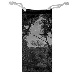 Patagonia Forest, Nahuel Huapi National Park, Rio Negro, Argentina Jewelry Bag