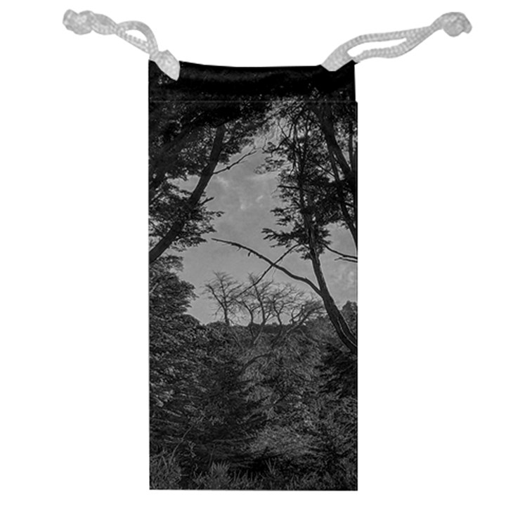 Patagonia Forest, Nahuel Huapi National Park, Rio Negro, Argentina Jewelry Bag