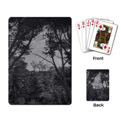 Patagonia Forest, Nahuel Huapi National Park, Rio Negro, Argentina Playing Cards Single Design (rectangle)