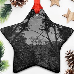 Patagonia Forest, Nahuel Huapi National Park, Rio Negro, Argentina Star Ornament (two Sides)