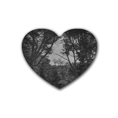 Patagonia Forest, Nahuel Huapi National Park, Rio Negro, Argentina Rubber Heart Coaster (4 Pack)