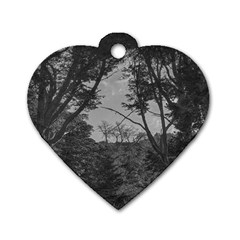 Patagonia Forest, Nahuel Huapi National Park, Rio Negro, Argentina Dog Tag Heart (one Side)