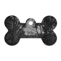 Patagonia Forest, Nahuel Huapi National Park, Rio Negro, Argentina Dog Tag Bone (one Side)