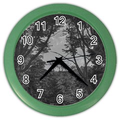 Patagonia Forest, Nahuel Huapi National Park, Rio Negro, Argentina Color Wall Clock