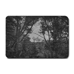 Patagonia Forest, Nahuel Huapi National Park, Rio Negro, Argentina Small Doormat