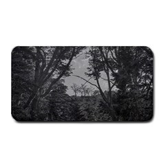 Patagonia Forest, Nahuel Huapi National Park, Rio Negro, Argentina Medium Bar Mat