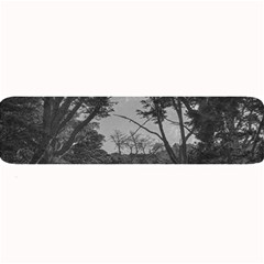 Patagonia Forest, Nahuel Huapi National Park, Rio Negro, Argentina Large Bar Mat