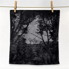 Patagonia Forest, Nahuel Huapi National Park, Rio Negro, Argentina Face Towel