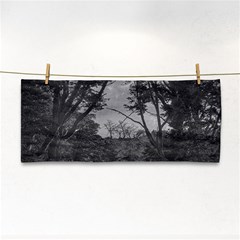 Patagonia Forest, Nahuel Huapi National Park, Rio Negro, Argentina Hand Towel