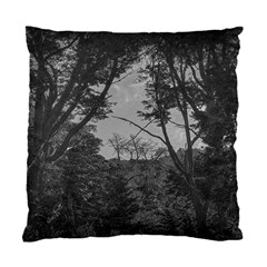 Patagonia Forest, Nahuel Huapi National Park, Rio Negro, Argentina Standard Cushion Case (two Sides)