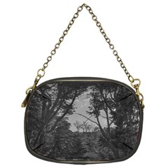 Patagonia Forest, Nahuel Huapi National Park, Rio Negro, Argentina Chain Purse (two Sides)