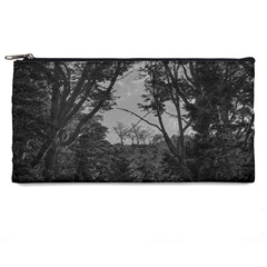 Patagonia Forest, Nahuel Huapi National Park, Rio Negro, Argentina Pencil Cases