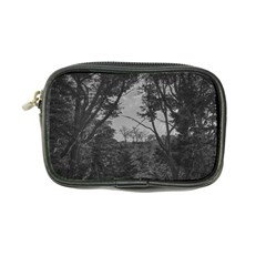 Patagonia Forest, Nahuel Huapi National Park, Rio Negro, Argentina Coin Purse