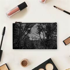 Patagonia Forest, Nahuel Huapi National Park, Rio Negro, Argentina Cosmetic Bag (small)