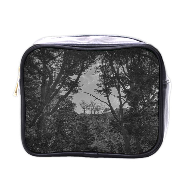 Patagonia Forest, Nahuel Huapi National Park, Rio Negro, Argentina Mini Toiletries Bag (One Side)