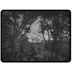 Patagonia Forest, Nahuel Huapi National Park, Rio Negro, Argentina Fleece Blanket (large)