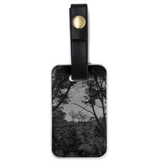 Patagonia Forest, Nahuel Huapi National Park, Rio Negro, Argentina Luggage Tag (one Side)