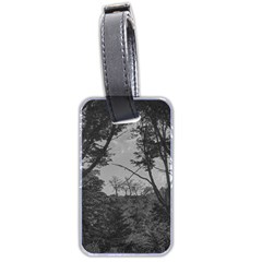 Patagonia Forest, Nahuel Huapi National Park, Rio Negro, Argentina Luggage Tag (two Sides)