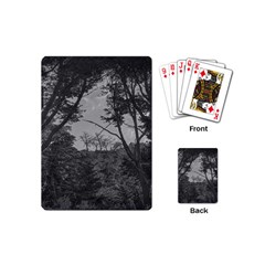 Patagonia Forest, Nahuel Huapi National Park, Rio Negro, Argentina Playing Cards Single Design (mini)