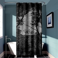 Patagonia Forest, Nahuel Huapi National Park, Rio Negro, Argentina Shower Curtain 36  X 72  (stall) 