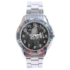 Patagonia Forest, Nahuel Huapi National Park, Rio Negro, Argentina Stainless Steel Analogue Watch