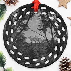 Patagonia Forest, Nahuel Huapi National Park, Rio Negro, Argentina Ornament (round Filigree)