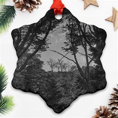 Patagonia Forest, Nahuel Huapi National Park, Rio Negro, Argentina Snowflake Ornament (two Sides)