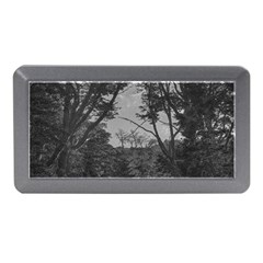 Patagonia Forest, Nahuel Huapi National Park, Rio Negro, Argentina Memory Card Reader (mini)