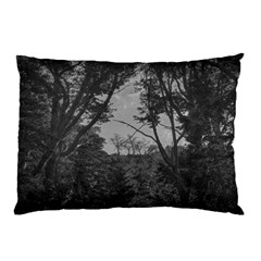 Patagonia Forest, Nahuel Huapi National Park, Rio Negro, Argentina Pillow Case (two Sides)