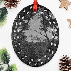 Patagonia Forest, Nahuel Huapi National Park, Rio Negro, Argentina Ornament (oval Filigree)