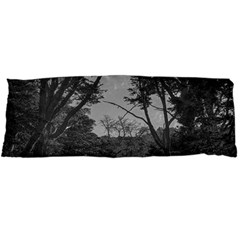 Patagonia Forest, Nahuel Huapi National Park, Rio Negro, Argentina 21 x60  Body Pillow Case Dakimakura (two Sides)