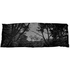 Patagonia Forest, Nahuel Huapi National Park, Rio Negro, Argentina 15 x40  Body Pillow Case Dakimakura (two Sides)