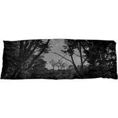 Patagonia Forest, Nahuel Huapi National Park, Rio Negro, Argentina 17 x47  Body Pillow Case Dakimakura (two Sides)