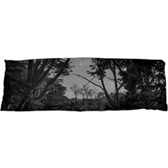 Patagonia Forest, Nahuel Huapi National Park, Rio Negro, Argentina 21 x63  Body Pillow Case Dakimakura (two Sides)