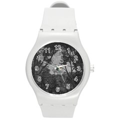 Patagonia Forest, Nahuel Huapi National Park, Rio Negro, Argentina Round Plastic Sport Watch (m)