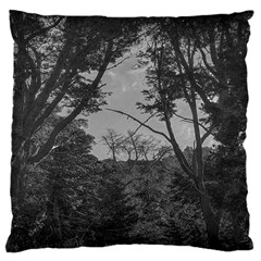 Patagonia Forest, Nahuel Huapi National Park, Rio Negro, Argentina Large Cushion Case (one Side)