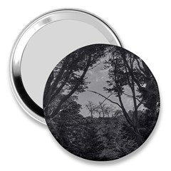 Patagonia Forest, Nahuel Huapi National Park, Rio Negro, Argentina 3  Handbag Mirrors