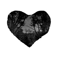 Patagonia Forest, Nahuel Huapi National Park, Rio Negro, Argentina Standard 16  Premium Heart Shape Cushions