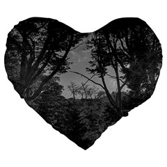 Patagonia Forest, Nahuel Huapi National Park, Rio Negro, Argentina Large 19  Premium Heart Shape Cushions