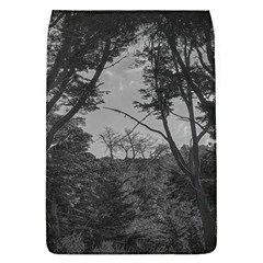 Patagonia Forest, Nahuel Huapi National Park, Rio Negro, Argentina Removable Flap Cover (s)