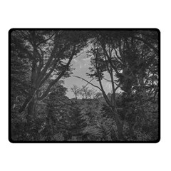 Patagonia Forest, Nahuel Huapi National Park, Rio Negro, Argentina Two Sides Fleece Blanket (small)