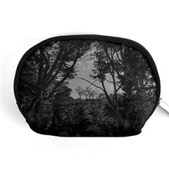 Patagonia Forest, Nahuel Huapi National Park, Rio Negro, Argentina Accessory Pouch (medium)