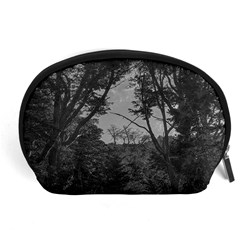 Patagonia Forest, Nahuel Huapi National Park, Rio Negro, Argentina Accessory Pouch (large)