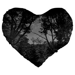 Patagonia Forest, Nahuel Huapi National Park, Rio Negro, Argentina Large 19  Premium Flano Heart Shape Cushions