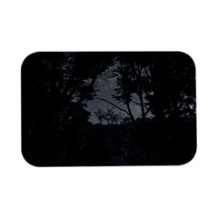 Patagonia Forest, Nahuel Huapi National Park, Rio Negro, Argentina Open Lid Metal Box (silver)  