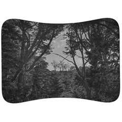 Patagonia Forest, Nahuel Huapi National Park, Rio Negro, Argentina Velour Seat Head Rest Cushion