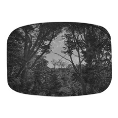 Patagonia Forest, Nahuel Huapi National Park, Rio Negro, Argentina Mini Square Pill Box by dflcprintsclothing