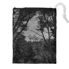 Patagonia Forest, Nahuel Huapi National Park, Rio Negro, Argentina Drawstring Pouch (4xl)